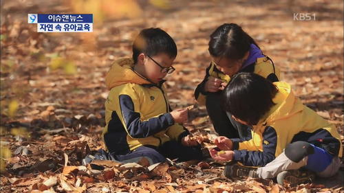 KBS방송 자연속 유아교육 &#039;숲 유치원&#039;  