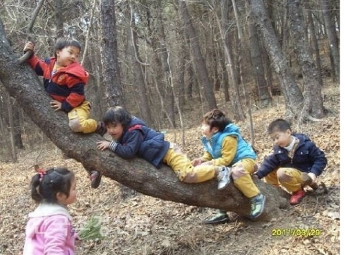 한국의 숲 유치원, 어디까지 왔나? 